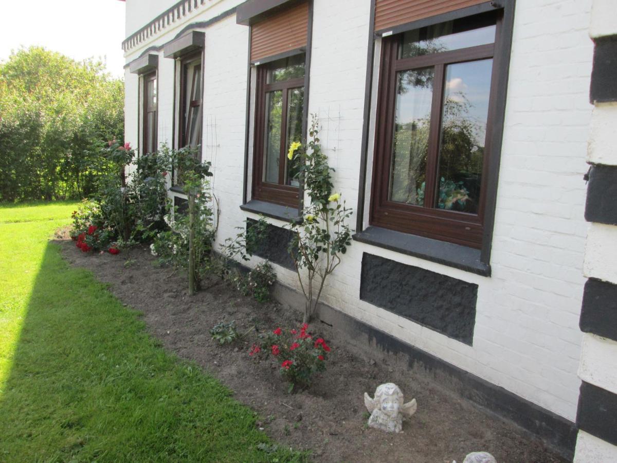 Pension Werner Nagel Wewelsfleth Esterno foto