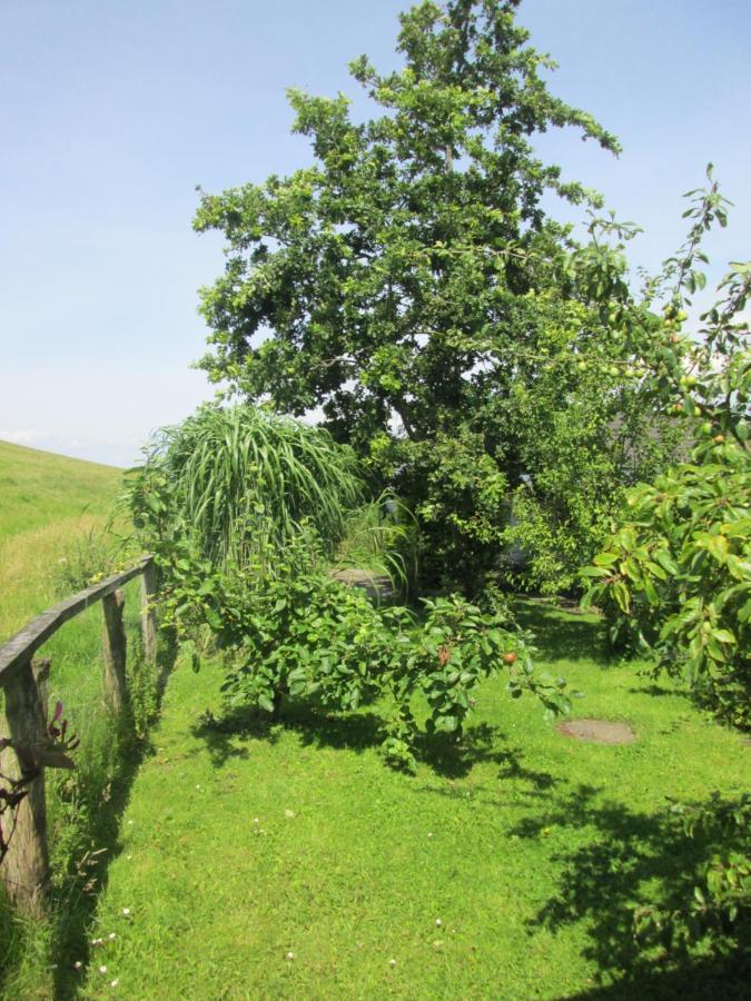 Pension Werner Nagel Wewelsfleth Esterno foto